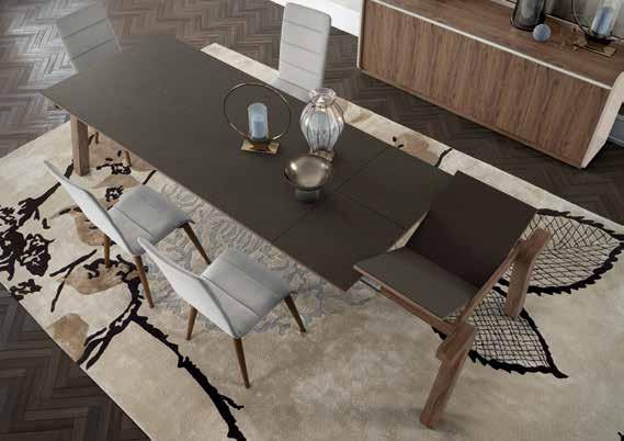 20 Dining Table with 2 Extensions of
