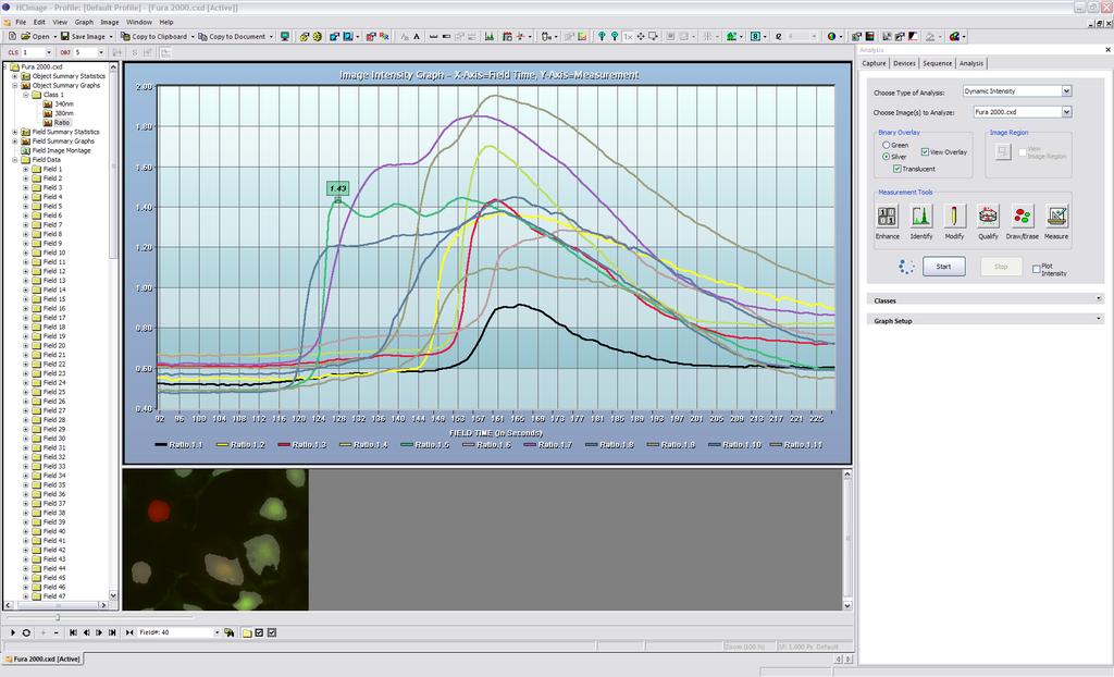 Critical details of an experiment are easily investigated by viewing a time course as an animation tightly linked to measured data.