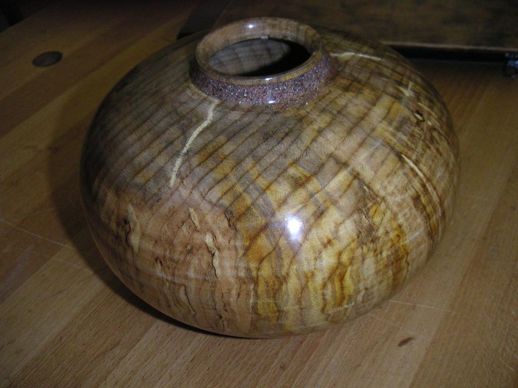Shallow Hollow Form by Ron