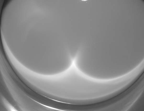 112 Crashes, Crises, and Calamities Figure 8.1. Cusp on the surface of milk in a saucepan. Photograph by Len Fisher.