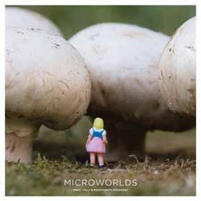 Microworlds Marc Valli and Margherita Dessanay Microworlds is about a big new trend in a small world.