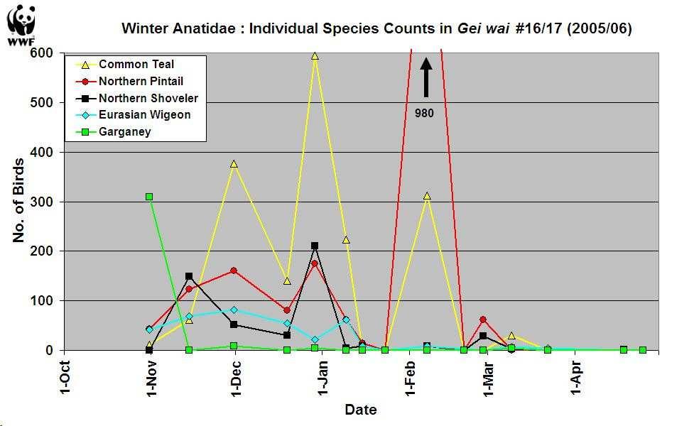 116.5 individuals and high count of 594 (29 December) and Northern Pintail (mean = 113.1, peak = 980 on 07 February) were the two most abundant species. Collectively these two species comprise 74.