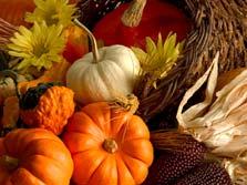 The Celebration of Thanksgiving When was the first Thanksgiving Day observed? It seems there is some discussion about this particular event.