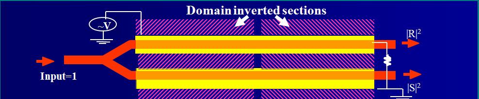 Domain Inverted E-O