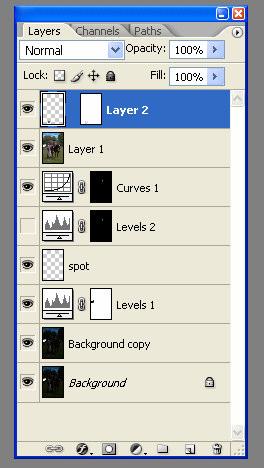 2- I then used the marquee tool to select a section of grass to the right of where I want to remove the paper. Select layer>new>via copy. This will create a copy of the grass on a new layer.