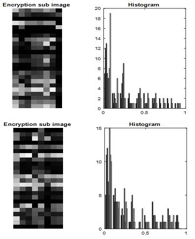 Figure 4 showed regions matrices Z(24*24) for BB matric and Z1 (24*24) for CC matric Figure 5 showed the histograms which shows how the pixels are spread in the form of both regions matrices Z(24*24)