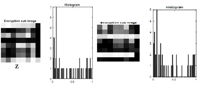 Figure 6: Histograms of two arrays Z(24*24) and Z1 (24*24) After converting the size Z (8*8) and size1 Z (8*8) Tables 1, 2, 3, 4 and 5 showed the final values to the Performance appraisal standards