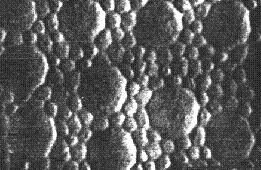 Cone Mosaic Retinal Photoreceptors Cones - High illumination levels (Photopic vision) Less