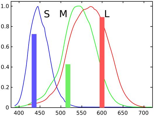 Simulating color Stimulating cone cells Color