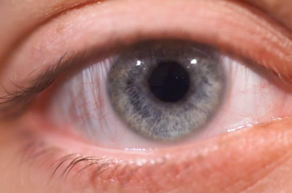 Our Eyes Iris Pupil Sclera Cornea