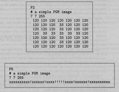 PGM format! A popular format for grayscale images (8 bits/pixel)! Closely-related formats are:!