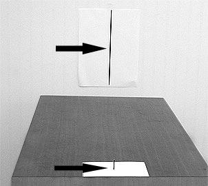 Stick a small nail through a business card and then place the nail and card on a table. Then tape a piece of paper onto the wall about 30-36 inches behind the nail.