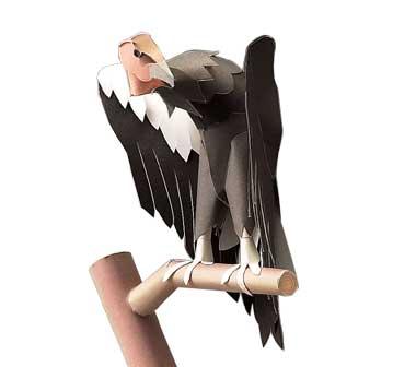 Thank you for downloading this paper craft model of the California Condor.