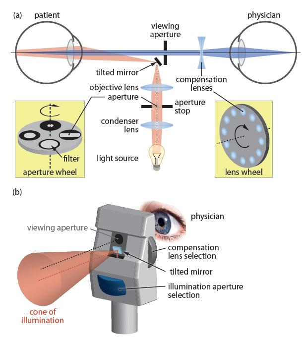 21 Direct Ophthalmoscope Inspection of an illumination path reflected on the retina without microscope Selection of different