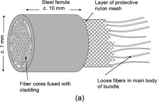Flexible Endoscopes Use of fiber bundle array