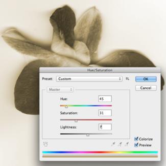 Here the image takes on a sepia tone, similar to a traditional photographic bath used to cast a warm tone on the image. Here we see the history palette in action. 8.