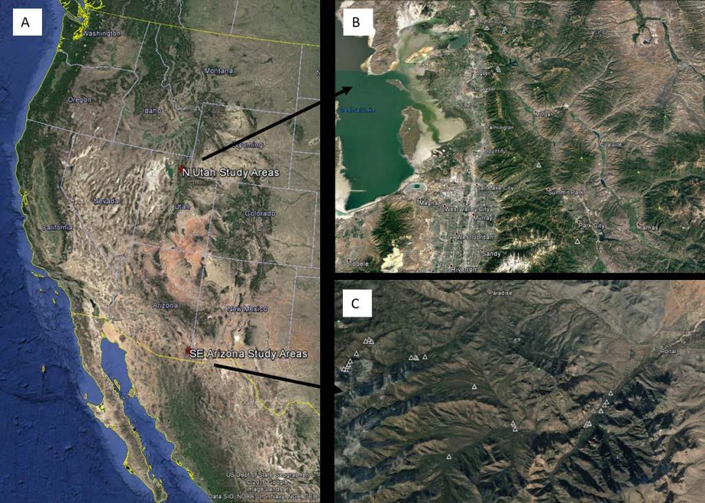 SUMMARY Earthwatch teams in Arizona and Utah mapped and measured tree cavities within 58 quarter-hectare plots, finding a total of 585 total cavities!