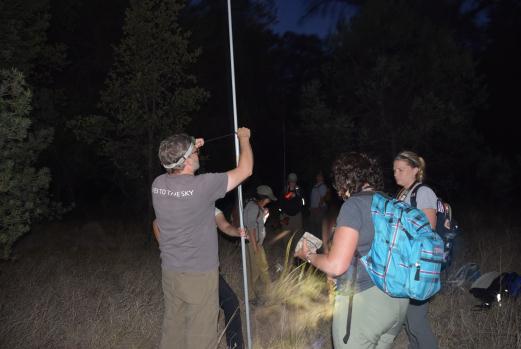 In 22 nights and at 73 points of surveying in Arizona, we detected 151 owls of seven different species.