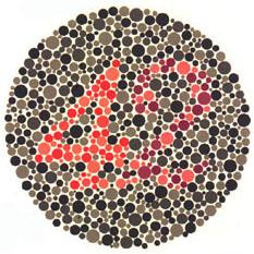 In mildly color deficient (anomalous) observers the diagnostic digit is seen but is less visible. http://www.color-blindness.