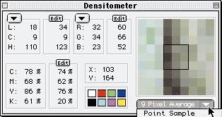 Notice the large preview window to the right of the palette, which shows a magnified view of the prescan where the cursor is set.
