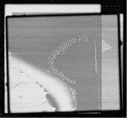 As originally published in the SMTA Proceedings. Figure 7: 75 MHz acoustic image of deepest die (die 4) attach to substrate. The shadow of one void from a previous level is seen (white arrow).