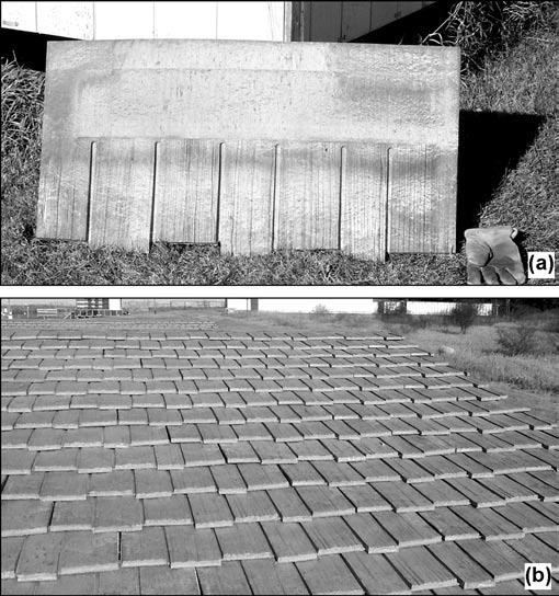 Temperature Histories for Roof Assemblies and Wood, Wood Thermoplastic Composite, and Fiberglass Shingles Figure 3 Components for WTPC structure: (a) roof tiles, (b) shingles.
