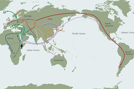 Human Migration Paths - Males Jackson Line Genetic Adam