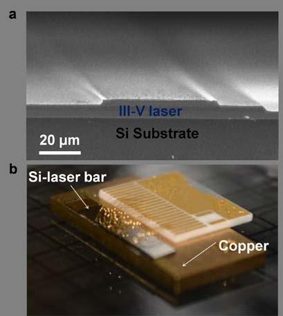 SUPPLEMENTARY INFORMATION III. Images of III-V on silicon laser with as-cleaved facets Figure S4. Fabricated III-V on silicon laser.