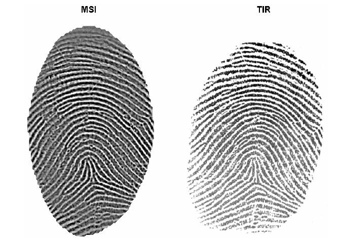 Multispectral Fingerprint Imaging contd.