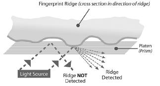 Optical Fingerprint Imaging contd.