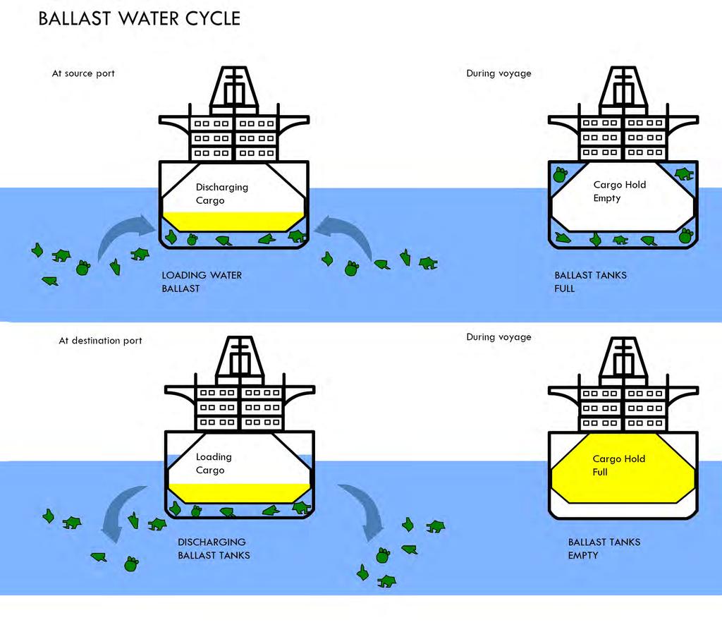 Key highlight areas: Ballast Water Management for Marine Biodiversity Status of Ballast Water in Africa Legislation Invasive Species IMO Support Programmes and Initiative Ballast Water Management