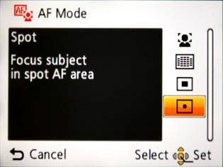 [8] Choose Autofocus or Manual Focus Most DSLRs will be able to focus continuously as the subject moves provided there is enough light.