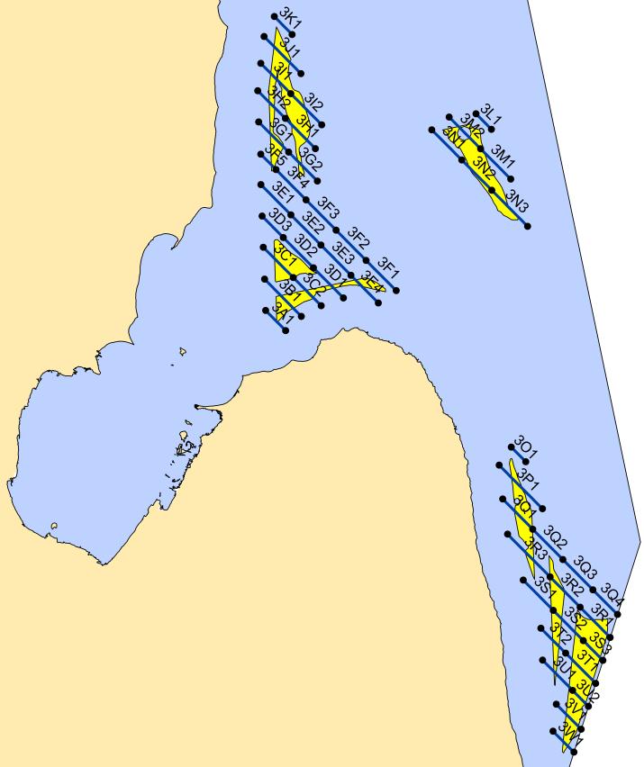 2013. One set of transects (i.e., blue left graphic, or green right graphic) was surveyed on a given day and the set covered was rotated every other survey.