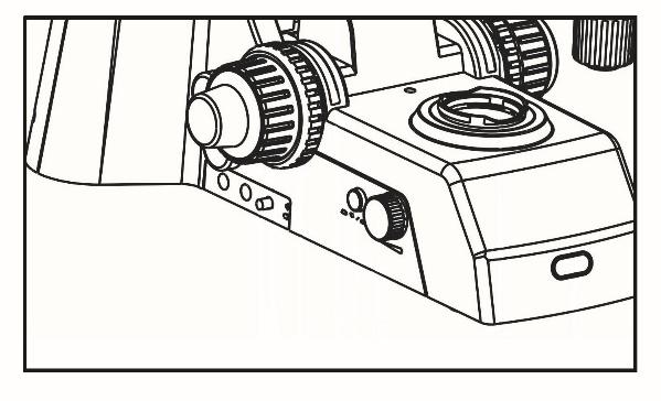 ADJUSTMENT & OPERATION Powering On - (Fig. 3) With the microscope plugged in, locate and push the I/O toggle button on the back of the microscope to the ON (I) position.