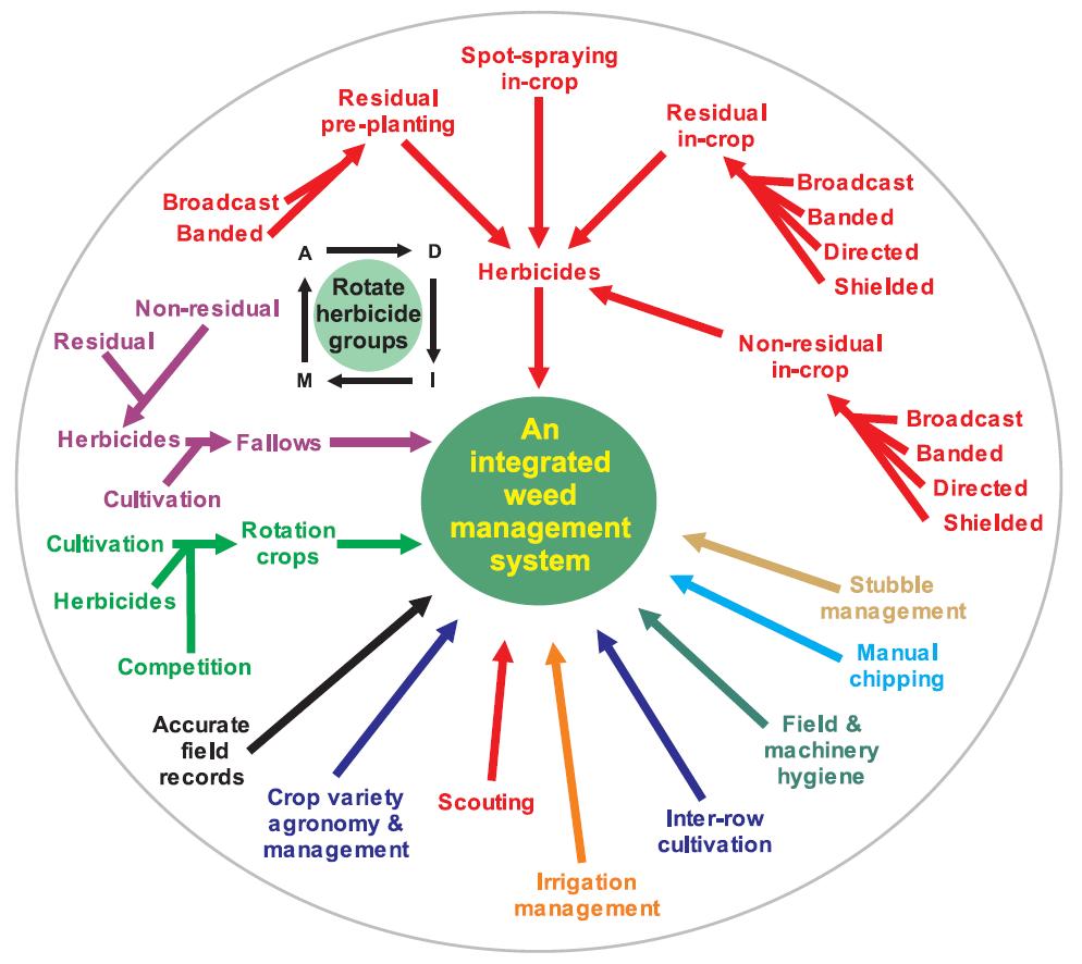 Figure 2.1. The many aspects of integrated weed management combine to give an effective weed management strategy.