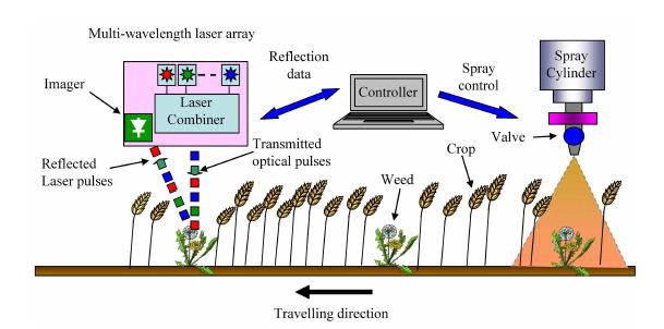 Figure 2.6. Principle of real-time weed detection and herbicide application (adapted from:[10]). The prototype weed sensor described above was the starting point for this research project.
