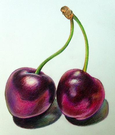 Produce a coloured pencil drawing of