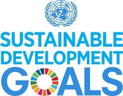 STRENGTHENING EVIDENCE GENERATION FOR THE ACHIEVEMENT OF SDGs FOR CHILDREN o o o Technology and economic growth, social inclusion and environmental sustainability (ICT for Sustainable Development).