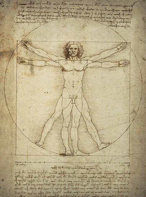 Artist: Leonardo Title: Vitruvian Man Medium: Ink Size: 13½ X 9 ⅝" (34.3 X 24.5 cm) Date: c.