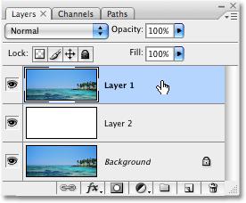 Layers palette to select it.