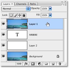 Step 12: Select Layer 1 Again Click once again on Layer 1 in the Layers palette to select it: The text will temporarily disappear inside the document