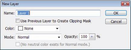 A new layer will be added above the active layer. TIP You can change the layer name in the New Layer dialog box before it appears on the Layers palette. 3. Click OK. 4.