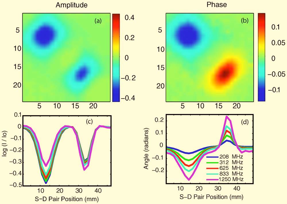 Fig. 5 Frequency domain data: a amplitude and b phase of the noise-weighted differential measurements using a 625-MHz modulation frequency where each pixel represents a source-detector pair.