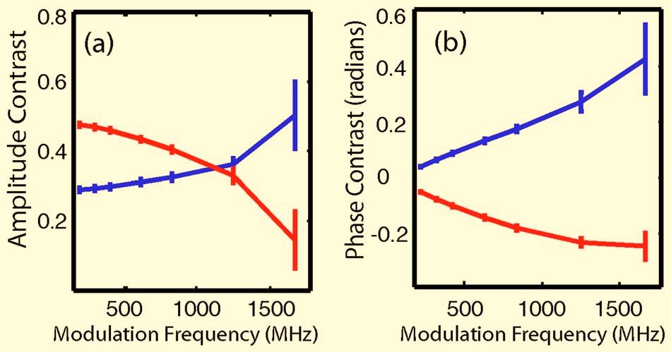 The diagonal values represent opposing source-detector pair measurements, which are shown in c and d for modulation frequencies from 208 MHz to 1.25 GHz.