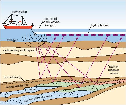 8 Seismic surveying 8.1 What is marine seismic surveying?