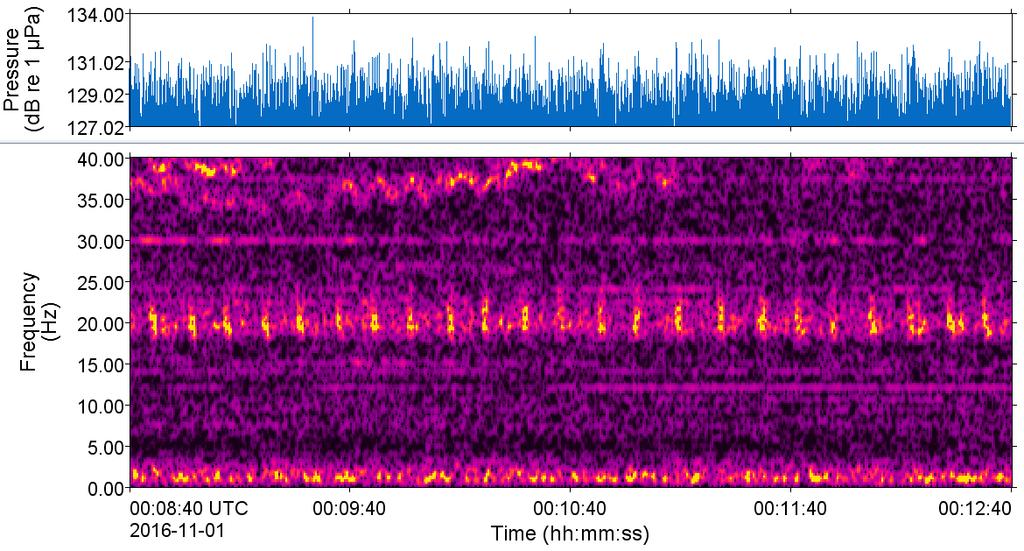 Figure 18. Spectrogram of fin whale calls recorded on the Stern AMAR on 1 Nov 2016.