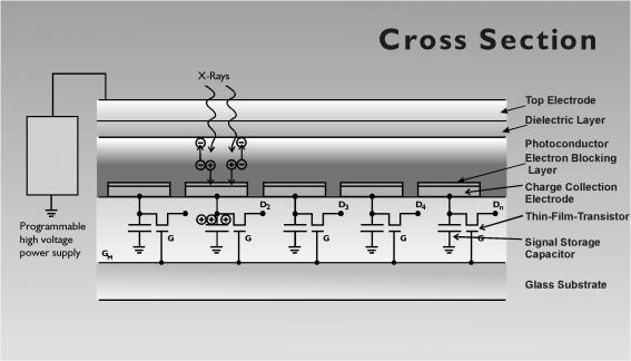 III. a-se array description As shown in Figure 1, the primary difference between indirect methods and the a-se array is that x-rays are directly converted to charge in the latter.