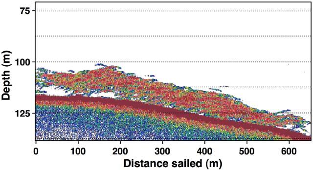 Counting Echo Traces The Open Ocean Engineering Journal, 2009, Volume 2 23 Table 1. Trace Estimates of the Same Fish Density at Four Frequencies.