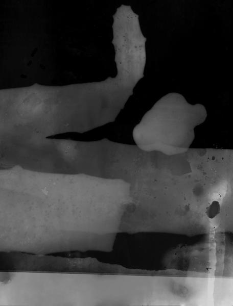 Test Strips B/w photograms on negatives scanned and enlarged size variable 2017 Photograms on negatives