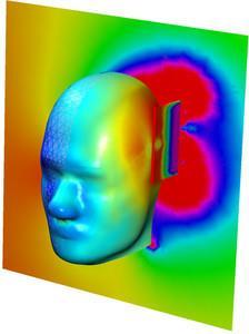 from scan data Absorbed radiation and temperature rise is computed Pennes